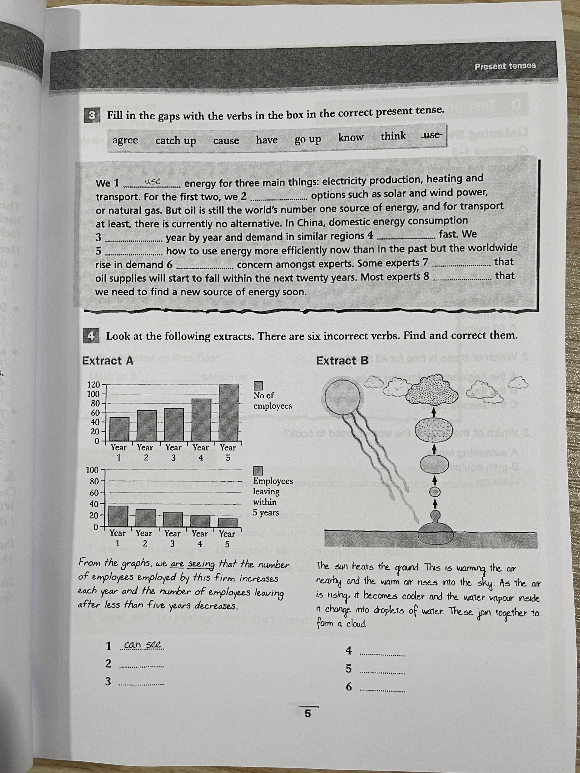 Cambridge Grammar for IELTS