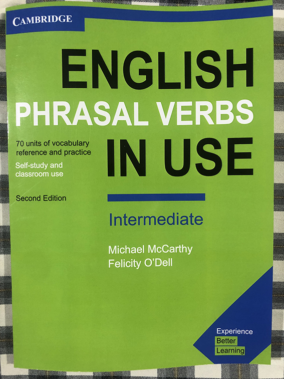 English Phrasal Verbs in Use